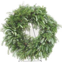Undecorated Fraser Wreath iimage